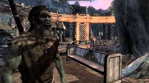 SOME OF MY SKYRIM  MODS + ENB fix