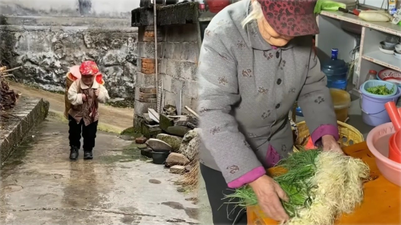 矮人宋姐今天赶集。太冷了野葱就卖了几把，收获寥寥