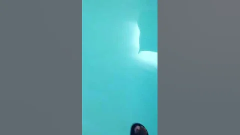 Rick franks walks on water