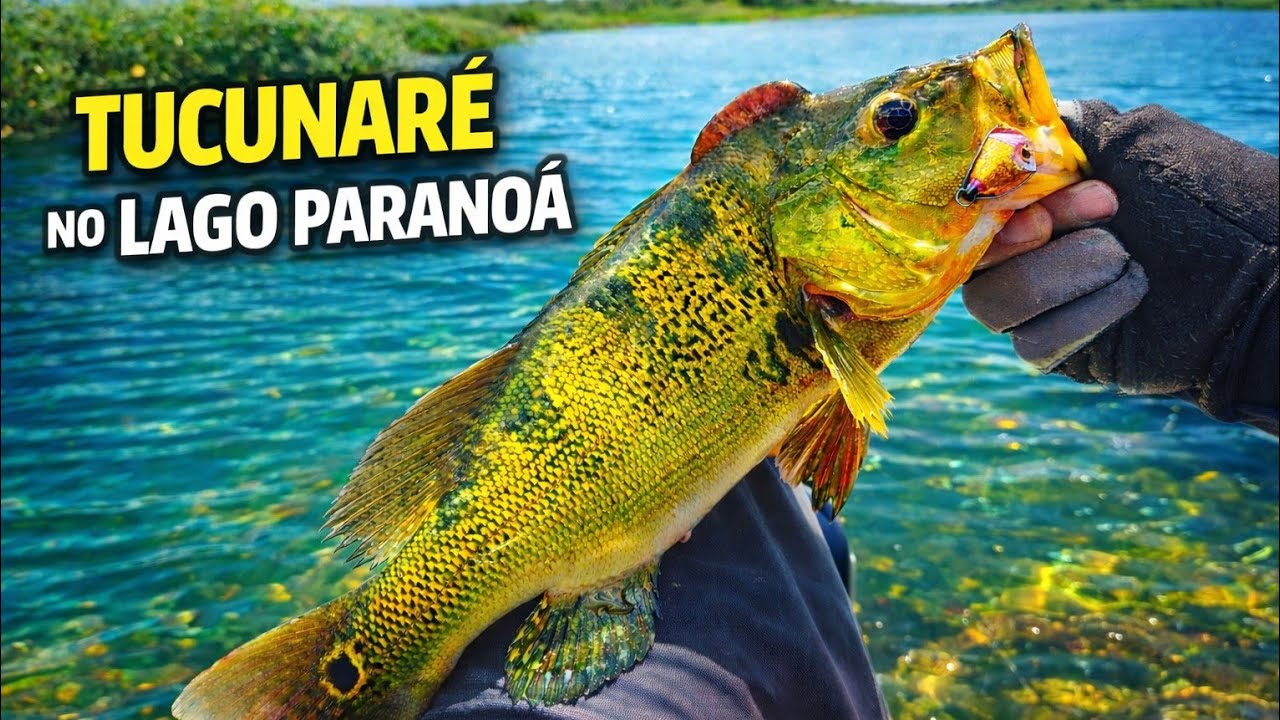 Pescaria de tucunaré TEMPORAL NO ACAMPAMENTO, e o peixe APARECEU! (Lago Paranoá) #mererofishing