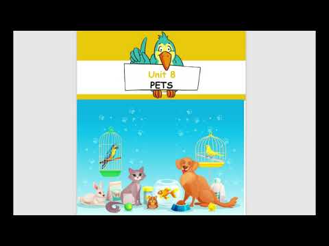 2. Sınıf İngilizce Ders Kitabı 8. Ünite Dinleme Metinleri (Bilim ve Kültür Yayınları)