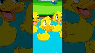 Beş Küçük Ördek Şarkısı L Minibebe