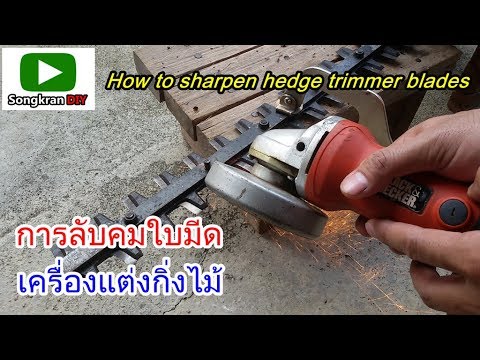 การลับคมใบมีดเครื่องตัดแต่งกิ่งไม้ (How to Sharpen Hedge Trimmer blade)
