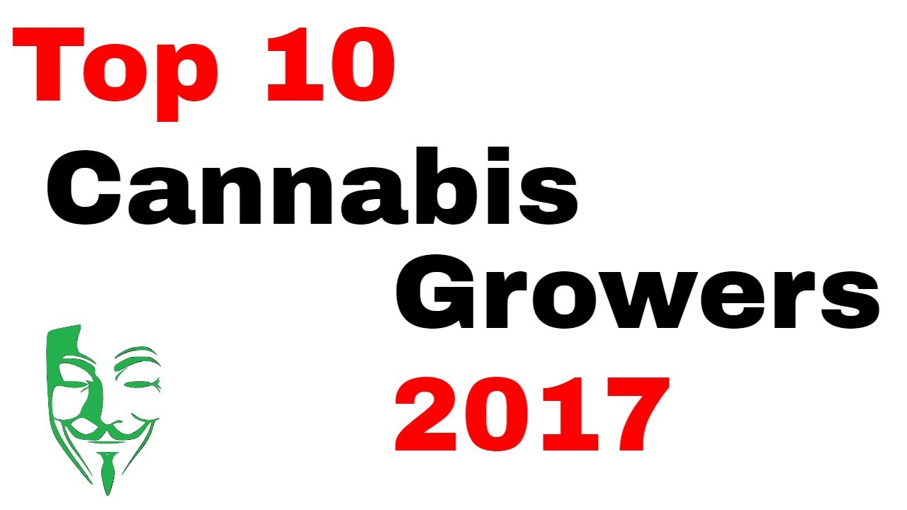 Top 10 Cannabis growers on YouTube 2017!!! The BEST Weed growers on this platform.