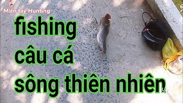 Fishing đi câu cá sông thiên nhiên nhà bè