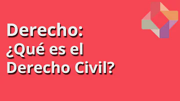 ¿Cuál es la función de los derechos politicos?