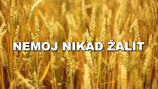 Dražen Zečić - Nemoj nikad žaliti (Official lyric video)