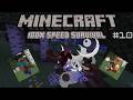 Minecraft but our World is at 100x the Speed Episode 10