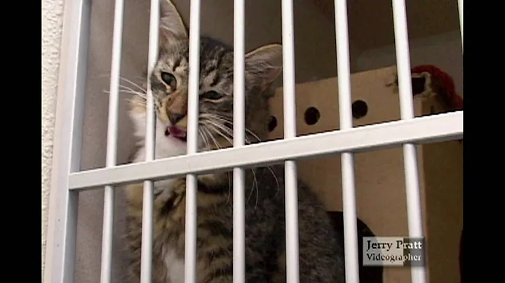 Jerry Pratt, Producer,  Videographer & Editor:  Documentary Reel