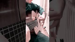 guitar music guitarist classicalguitar flamenco flamencoguitar spanishguitar guitarsolo