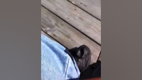 2 nice rhyolite arrowheads