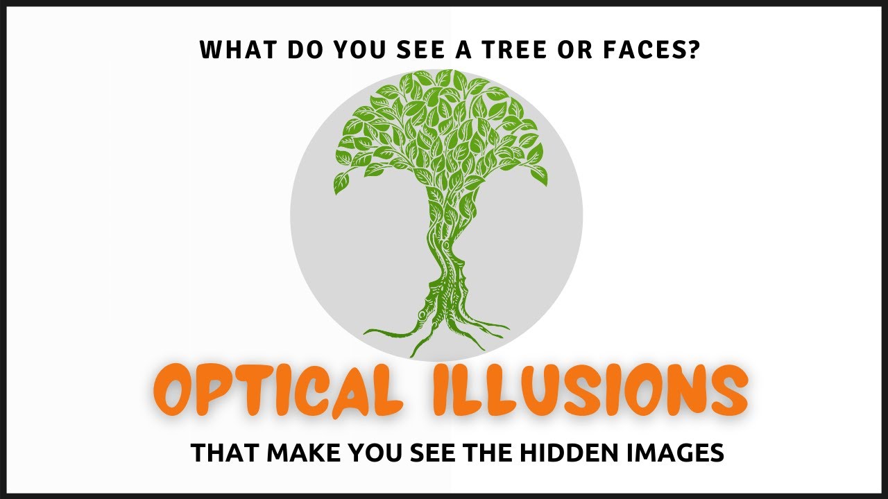 Optical Illusions that make you see the hidden images | Trivia Games ...