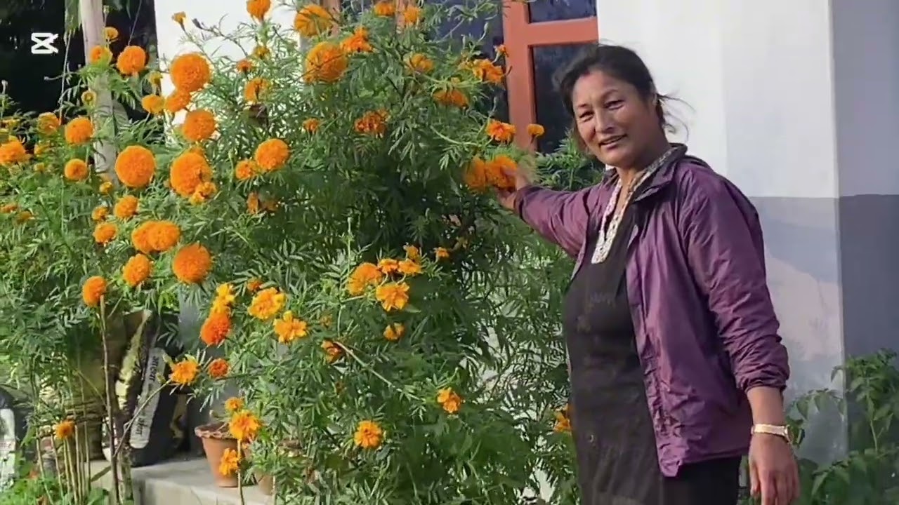 हाम्रो बारि त पहेलै  २०८२-६-३०