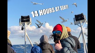 My 1st PELAGIC Birding Trip!!! (14 Hours at Sea!)