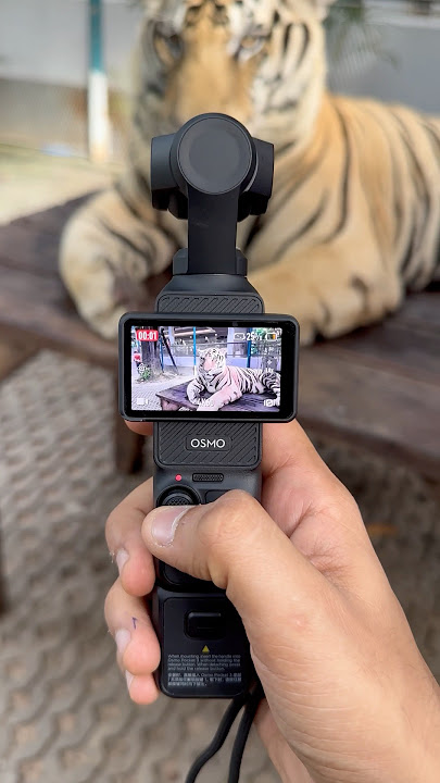 Start Vlogging with DJI Pocket 3✅ Best Vlogging Camera | Get yours👆 #dji #djipocket3 #camera