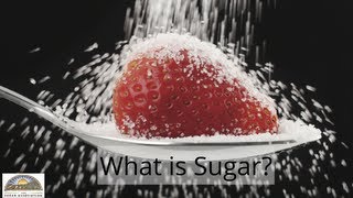 What is Sugar?