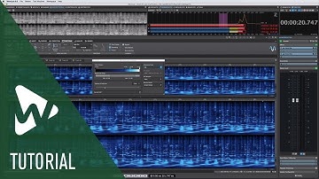 Spectrogram and Wavelet Displays | New Features in WaveLab Pro 9.5