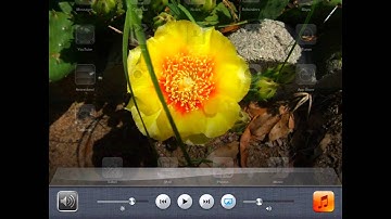 iPad Screen Recording  AirServer