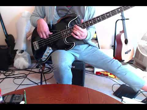 スピッツ「鈴虫を飼う」を必死に弾いてみた【bass cover】