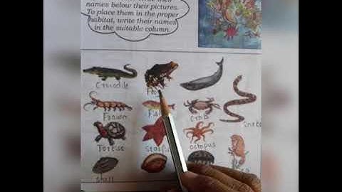 Evs. Lesson 5.The Family of Water. 3 standard