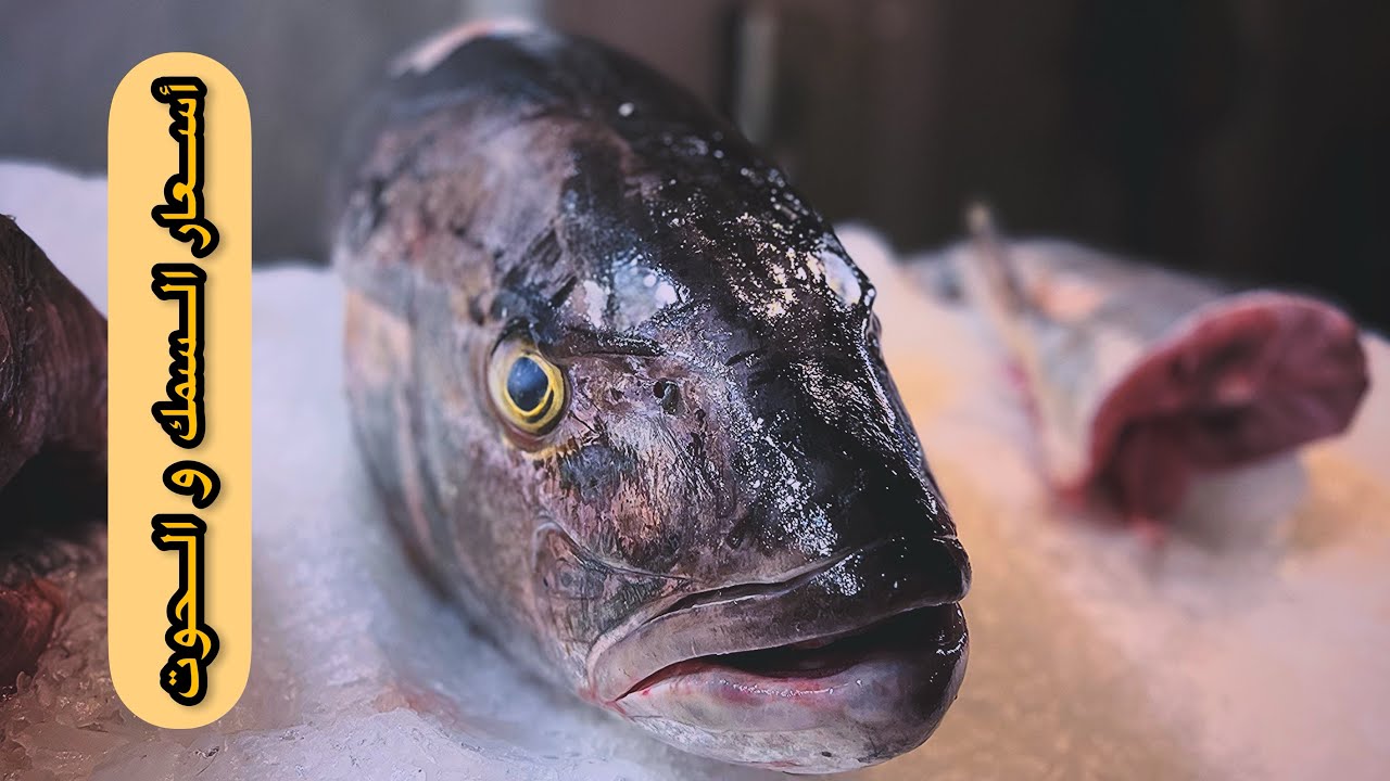 شاهد أسعار السمك في مسمكة الجزائر العاصمة ...