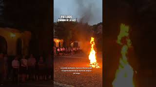 Via lucis, vigilia de Pentecostés 2026 #pentecostes #espiritusanto