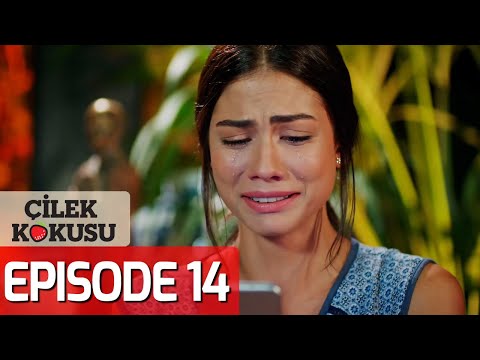 Strawberry Smell - Full Episode 14 (English Subtitles) | Cilek Kokusu