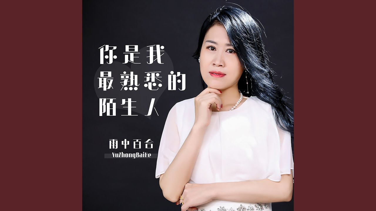 你是我最熟悉的陌生人pdf Epub Mobi Txt 电子书下载2021 小特书站