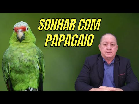 Vídeo: O que significa papagaio?