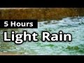 Asmr rain  delicate light rain for 5 hours  sleep sounds  relaxation