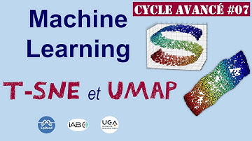 Méthodes t-SNE et UMAP pour visualisation et réduction de dimension | Cycle avancé IA #7