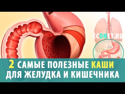 2 самые полезные каши для желудка и кишечника