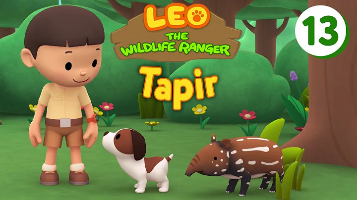 Tapir - Leo The Wildlife Ranger (Episode 13)