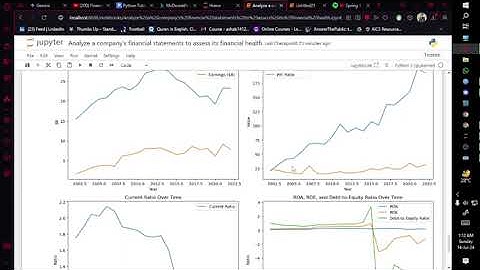 Documentary: Financial Ratio Analysis Using Jupyter Notebook | Pandas, NumPy, and Matplotlib"