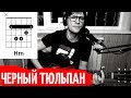 РОЗЕНБАУМ - ЧЕРНЫЙ ТЮЛЬПАН аккорды 🎸 кавер табы как играть на гитаре | pro-gitaru.ru