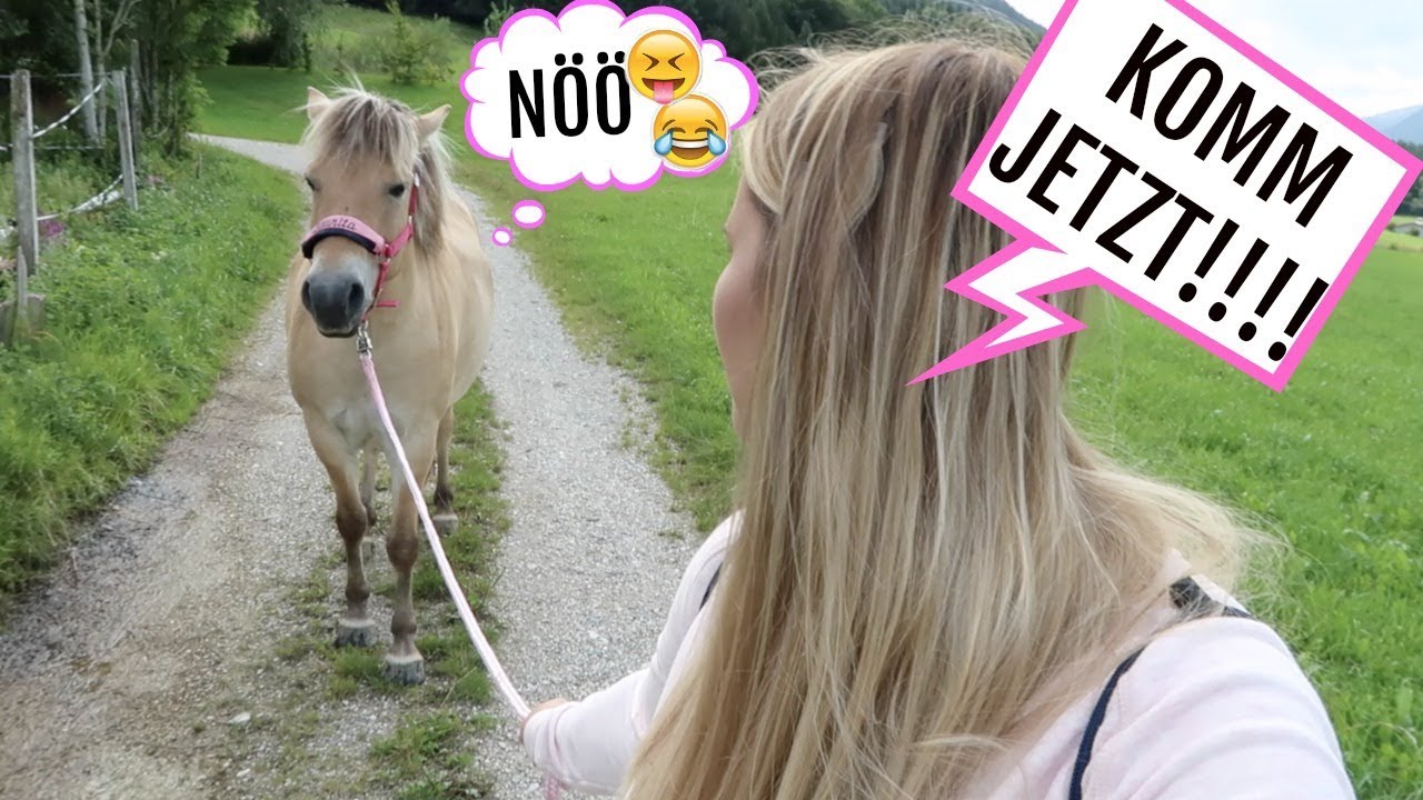 KRÄMER BESUCH FAUNITA LONGIEREN I LIFELOVENIKI I 21 08 2017