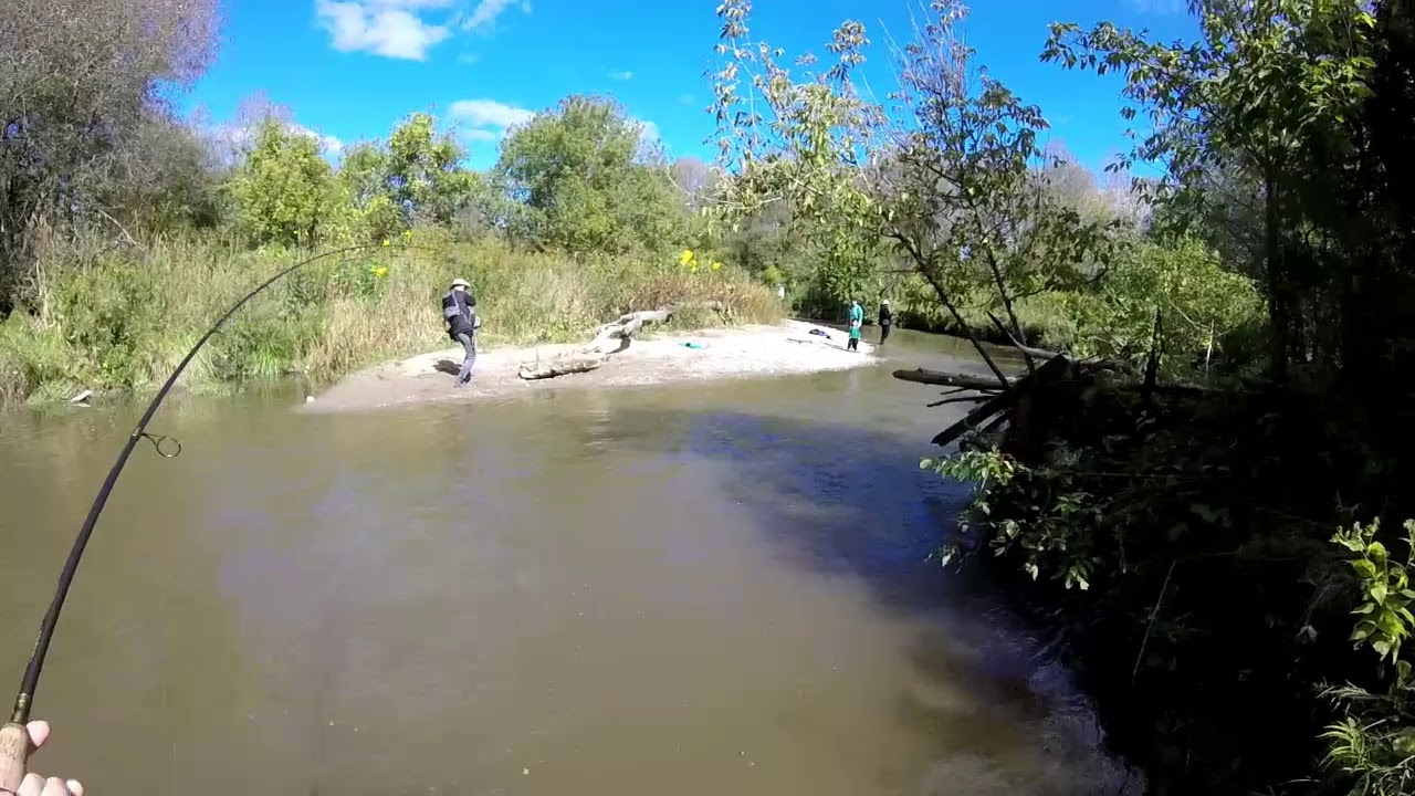 Dirty water salmon fishing YouTube