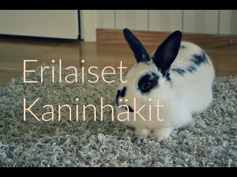 Video: Sähköasentajan työnkuva: toiminnalliset tehtävät, oikeudet, vastuu