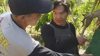 Kakek Tua Dua Bersaudara Di Kolaka Timur Punya Hobi Pengambil Madu Asli