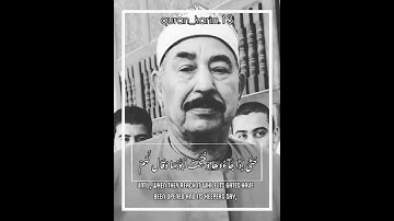 الشيخ محمد محمد الطبلاوي / سورة الزمر برواية السوسي عن أبي عمرو🎙️🌻