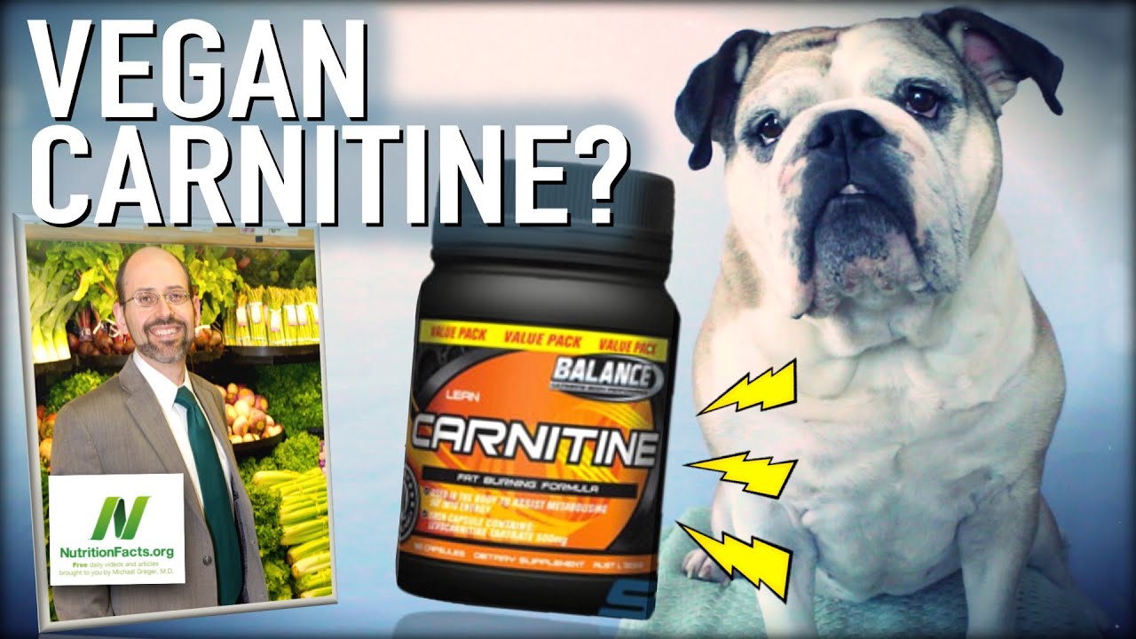 is l carnitine and creatine the same L-Carnitine vs Creatine: Which Supplement Is Best for You?