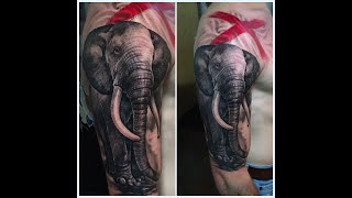 Black And Grey Elephant Tattoo