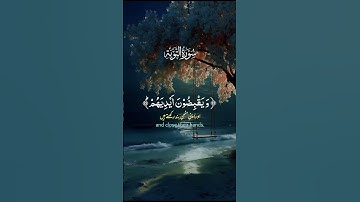 المنافقون والمنافقات بعضهم من بعض.. #تلاوة_خاشعة #قرآن #قران_كريم #اكسبلور