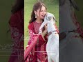 #eid #bakra#hajj #shorts#youtubeshorts#islamicvideo#viralvideo#youtubevideo#trending#love#naat#allah