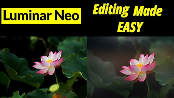 Luminar Neo. Editing made easy