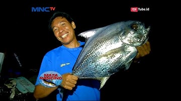 Mancing Malam di Tolitoli Strike Ikan Mata Bongsang Penghuni Laut Dalam Part 01 - Mata Pancing 15/07