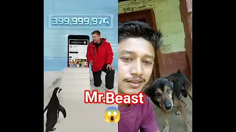 Can I Teach a Penguin To Subscribe?#mrbeastshorts #reaction