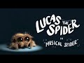 Best Of Lucas The Spider!