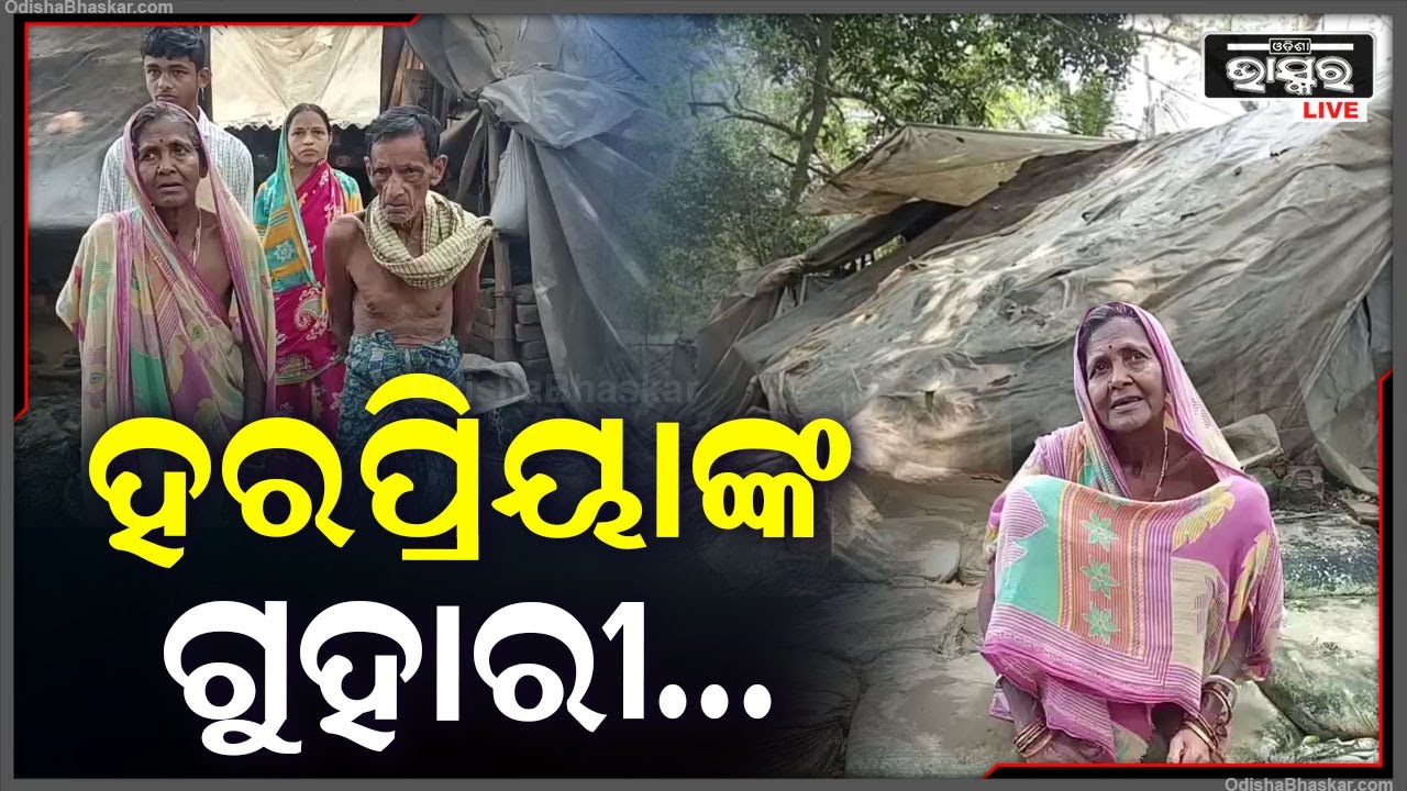 ସକାଳ ଅପେକ୍ଷାରେ ହରପ୍ରିୟା, ମିଳୁନି ଆବାସ ଯୋଜନାରେ ଘର, ଛିଣ୍ଡା ପଲିଥିନ ତଳେ ଦୟନିୟ ଜୀବନ ବିତାଉଛନ୍ତି ଏହି ପରିବାର