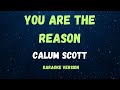 You are the reason  calum scott   karaoke version 